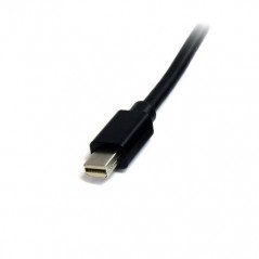 StarTech.com Cavo Mini DisplayPort 1.2 - DisplayPort 4k da 2m M/M