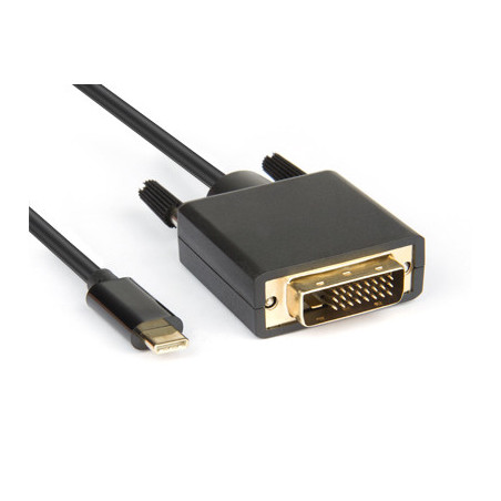 Hamlet XVAUC-DV4K20 cavo e adattatore video 2 m USB tipo-C DVI Nero