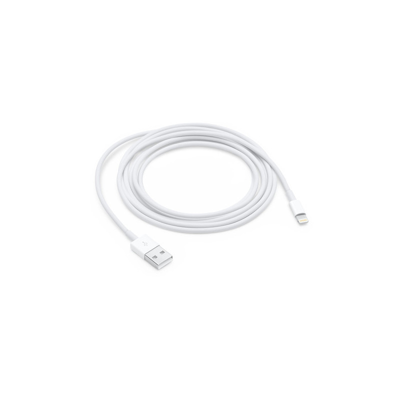 APPLE CAVO LIGHTNING TO USB CABLE (2 M)