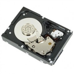 DELL 400-AUPW disco rigido interno 3.5" 1000 GB Serial ATA III