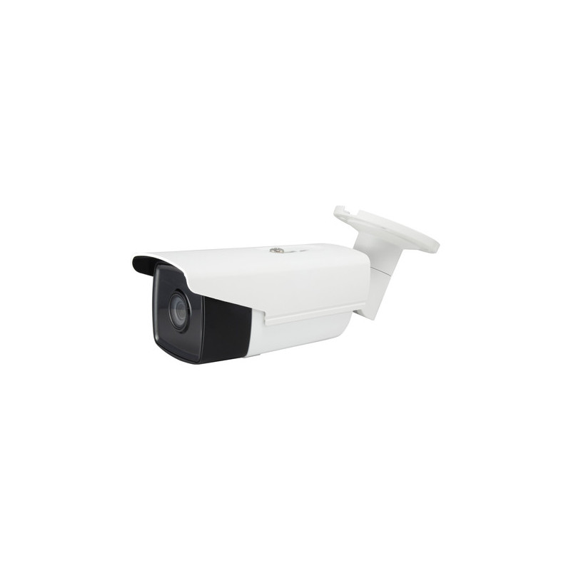 LevelOne FCS-5092 telecamera di sorveglianza Telecamera di sicurezza IP Interno e esterno Capocorda 2560 x 1656 Pixel Soffitto/m
