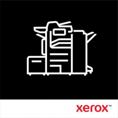 Xerox Armadietto