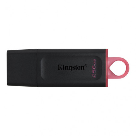 Kingston Technology DataTraveler Exodia unità flash USB 256 GB USB tipo A 3.2 Gen 1 (3.1 Gen 1) Nero