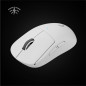 Logitech G PRO X SUPERLIGHT mouse Mano destra RF Wireless 25400 DPI