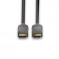 Lindy 36481 cavo DisplayPort 1 m Nero, Grigio