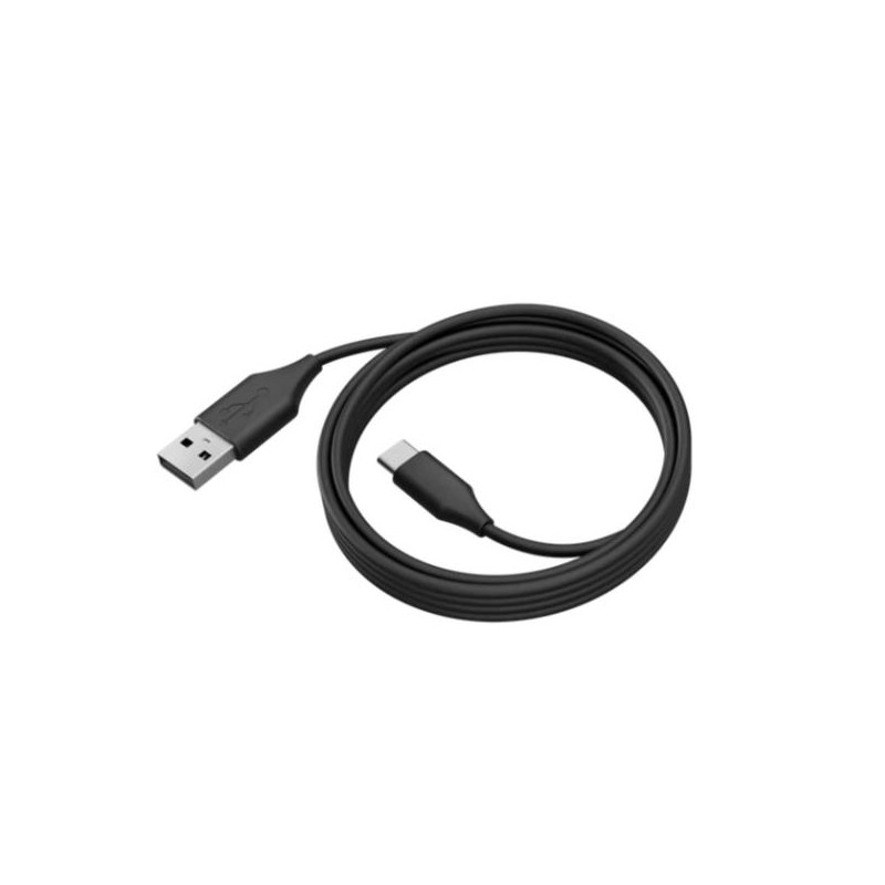 Jabra - Cavo USB - 24 pin USB-C (M) a USB Tipo A (M) - USB 3.0 - 2 m - per PanaCast 50, 50 Room System