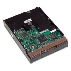 HP - Hard disk - 1 TB - interno - 3.5" - SATA 6Gb/s - 7200 rpm - buffer: 32 MB - per Workstation z210, Z220, Z230, Z420, Z620, Z