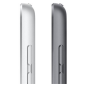 Apple 10.2" iPad Wi-Fi 256GB - Silver