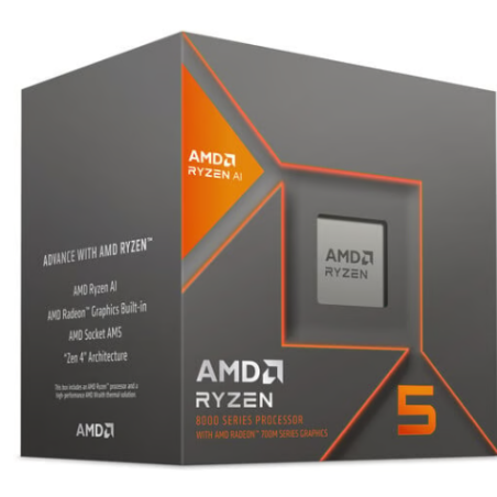 AMD RYZEN 5 8600G BOX