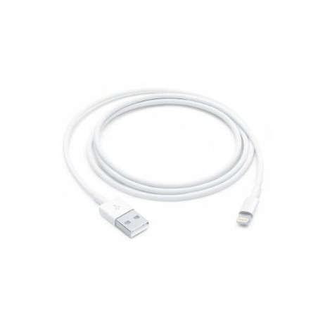 LIGHTNING TO USB CABLE (1 M)-ZML