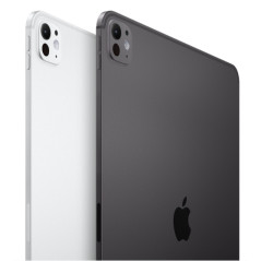 APPLE 13-INCH IPAD PRO WIFI + CELLULAR 512GB WITH STANDARD GLASS - SPACE BLACK