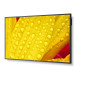 NEC MultiSync ME431 Digital signage flat panel 43" IPS 400 cd/m² 4K Ultra HD Black 18/7 NEC MultiSync ME431 Digital signage flat panel 43" IPS 400 cd/m² 4K Ultra HD Black 18/7
