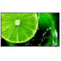 NEC MultiSync E498 124,5 cm (49") IPS 350 cd/m² 4K Ultra HD Nero 16/7 NEC MultiSync E498 124,5 cm (49") IPS 350 cd/m² 4K Ultra HD Nero 16/7