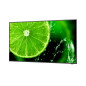 NEC MultiSync E498 124,5 cm (49") IPS 350 cd/m² 4K Ultra HD Nero 16/7 NEC MultiSync E498 124,5 cm (49") IPS 350 cd/m² 4K Ultra HD Nero 16/7