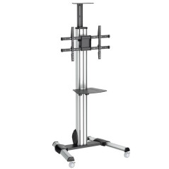StarTech.com STNDMTV70 signage display mount 75" Black, Stainless steel