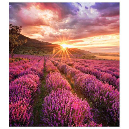 Samsung IF025H-E LED Interno