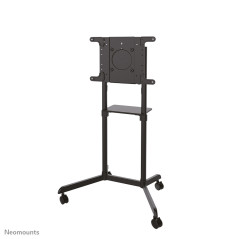 Neomounts NS-M1250BLACK monitor mount / stand 70" Floor Black
