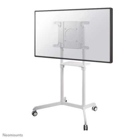 Neomounts NS-M1250WHITE monitor mount   stand 70" Floor White