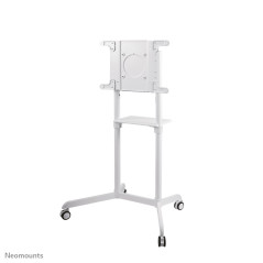 Neomounts NS-M1250WHITE monitor mount / stand 70" Floor White