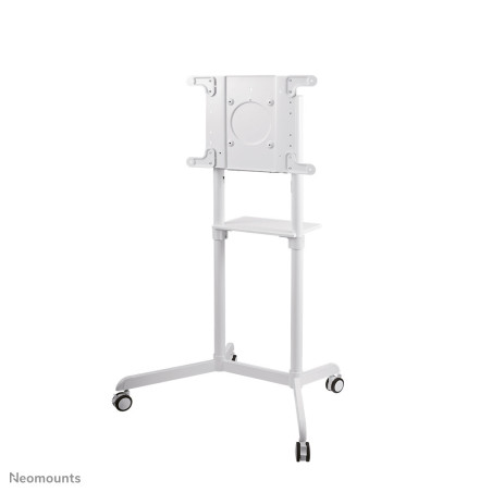 Neomounts NS-M1250WHITE monitor mount / stand 70" Floor White