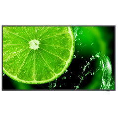 NEC MultiSync E658 65" IPS 350 cd m² 4K Ultra HD Black 16 7
