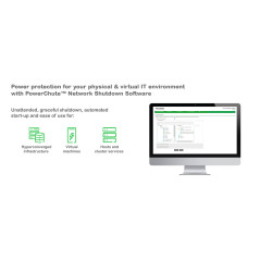 APC Smart-UPS gruppo di continuità (UPS) A linea interattiva 5 kVA 4000 W 10 presa(e) AC