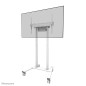 Neomounts FL55-875WH1 signage display mount 100" White Neomounts FL55-875WH1 signage display mount 100" White