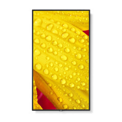 NEC MultiSync M551-2 Design chiosco 127 cm (50") LED 4K Ultra HD Nero Processore integrato