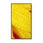 Videowall Monitor NEC 60006085 4K Ultra HD 50"