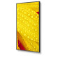 Videowall Monitor NEC 60006085 4K Ultra HD 50"