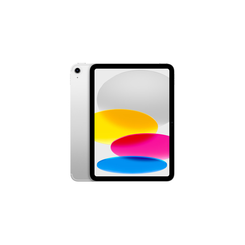 IPAD WF CL 256GB SLV