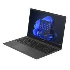 250 G10 I7-1355U 8/256 W11P 2YW