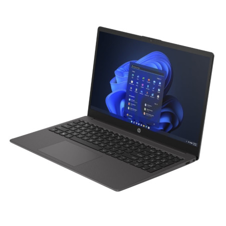 250 G10 I7-1355U 8/256 W11P 2YW