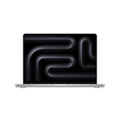 MBP 14 SL/10C/10C GPU/24GB/1TB