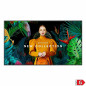 Monitor Videowall Samsung QH65C 65" LCD VA