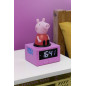 Hasbro PP12729PP not categorized