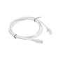 Latiguillo lanberg cat.6 utp 1.5m gris