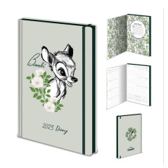 Diary pyramid 2023 disney children