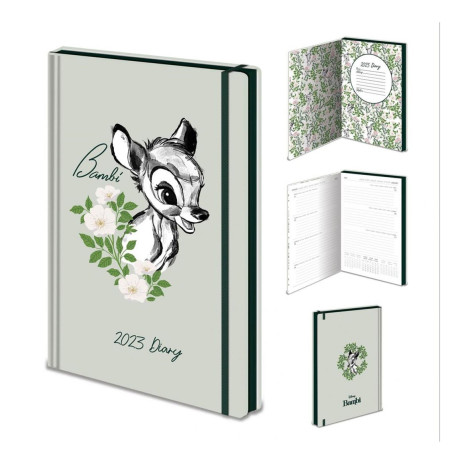 Diary pyramid 2023 disney children