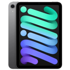 IPAD MINI WI-FI 128GB SPACE GRAY