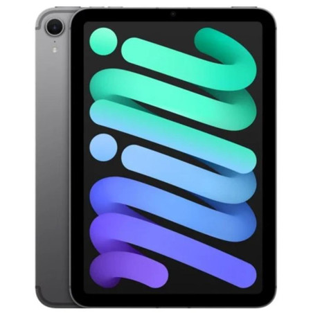 IPAD MINI WI-FI CL 128GB SP GR