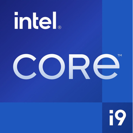 CPU INTEL CORE i9-12900KF (ALDER LAKE) 3.2 GHz - 25MB SKT 1700 pin BOX - NO GPU (AGGIUNGERE VGA) NO DISS. - BX8071512900KF