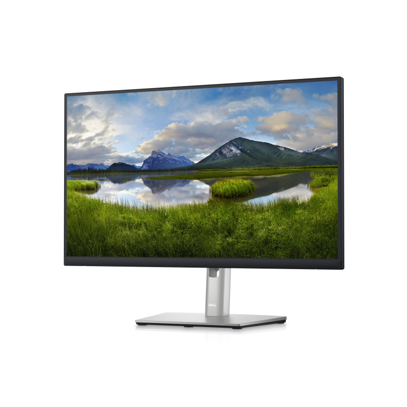 Monitor led 24 pulgadas dell p2423de ips - lcd - qhd - hdmi - dp - 60hz - 5ms - vesa 100 x 100