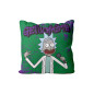 Cojin sd toys rick & morty get schwifty rick envasado vacio