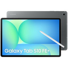 Tablet Samsung SM-X620NZAPEUB 12 GB RAM 256 GB Grigio