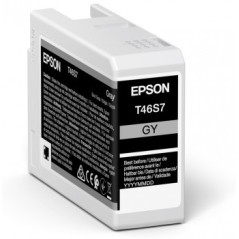 Epson UltraChrome Pro ink cartridge 1 pc(s) Original Gray