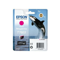 Epson C13T76034N10 ink cartridge 1 pc(s) Original Vivid magenta