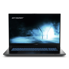 Erazer MD62652 Intel® Core™ i5 i5-12450H Laptop 17.3" Full HD 16 GB DDR4-SDRAM 512 GB SSD NVIDIA GeForce RTX 4050 Wi-Fi 6E