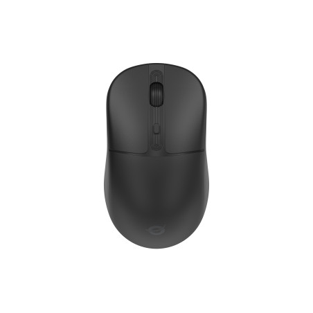 Conceptronic LORCAN04B mouse Office Ambidextrous RF Wireless + Bluetooth Optical 1600 DPI