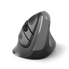 Ewent EW3229 mouse Ufficio Mano destra RF Wireless Ottico 2400 DPI